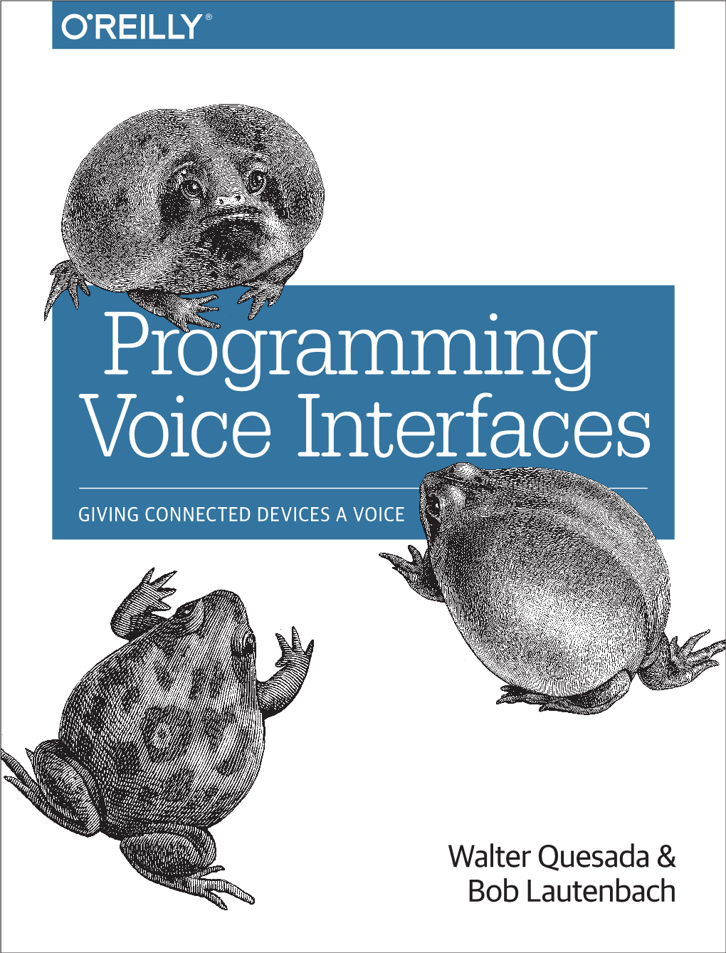 Programming Voice Interfaces Giving Connected Devices a Voice