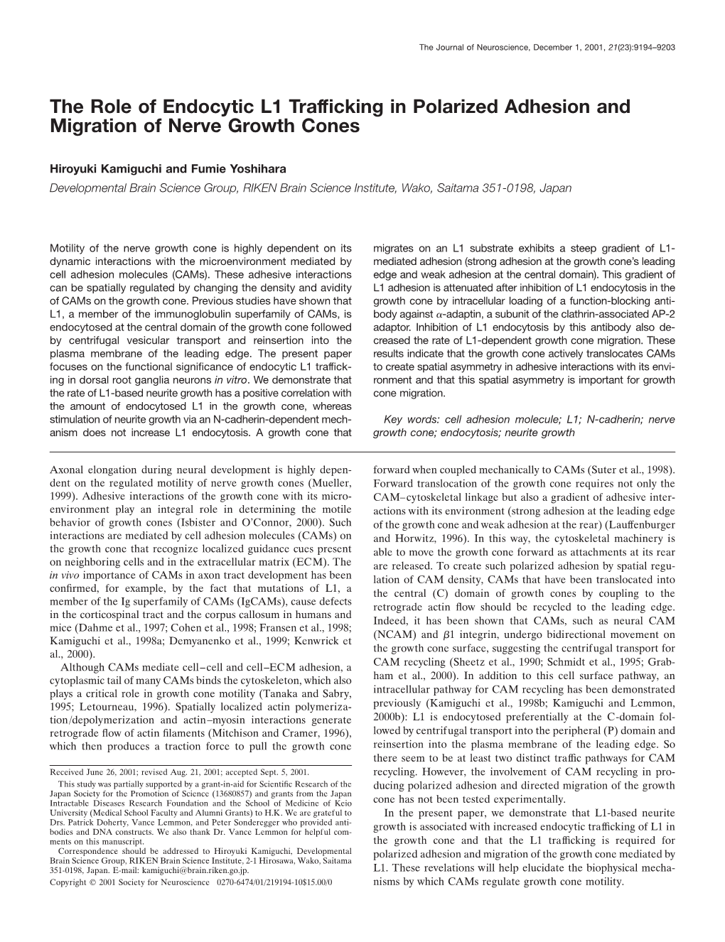 The Role of Endocytic L1 Trafficking in Polarized Adhesion and Migration