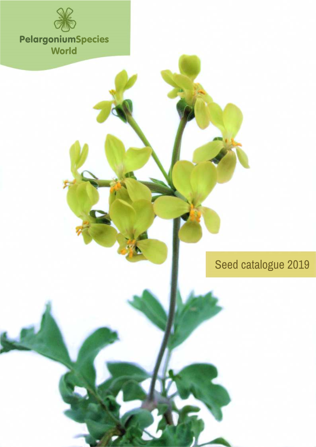 Catalogue 2019 Final New 3.Pdf