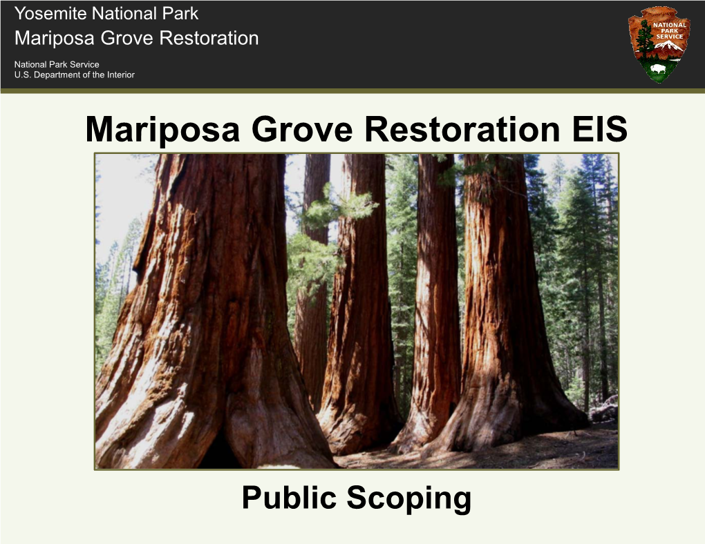 Mariposa Grove Restoration