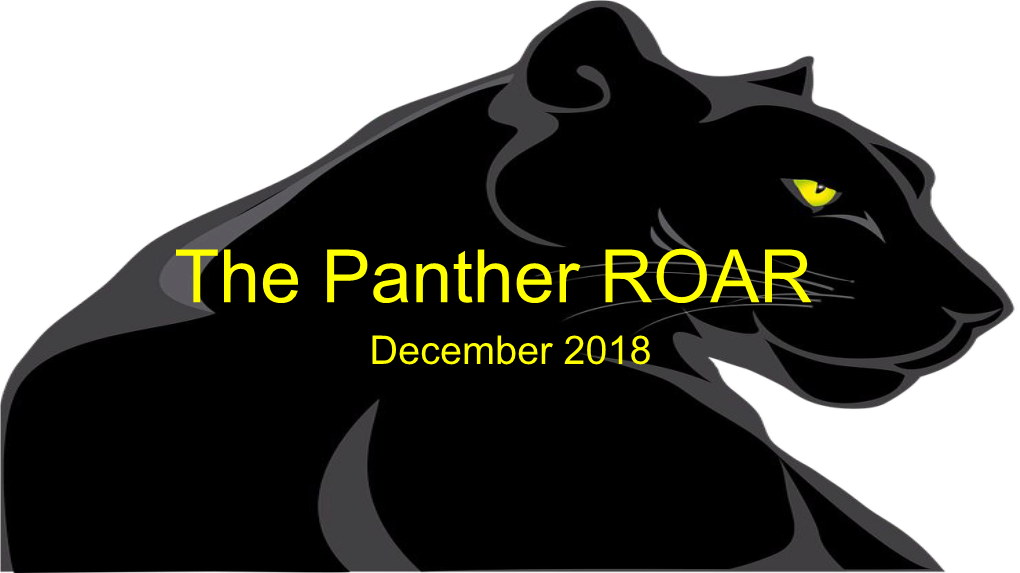 The Panther ROAR