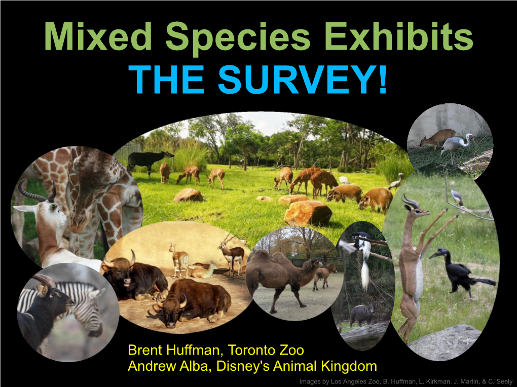 Mixed Species Exhibits the SURVEY!