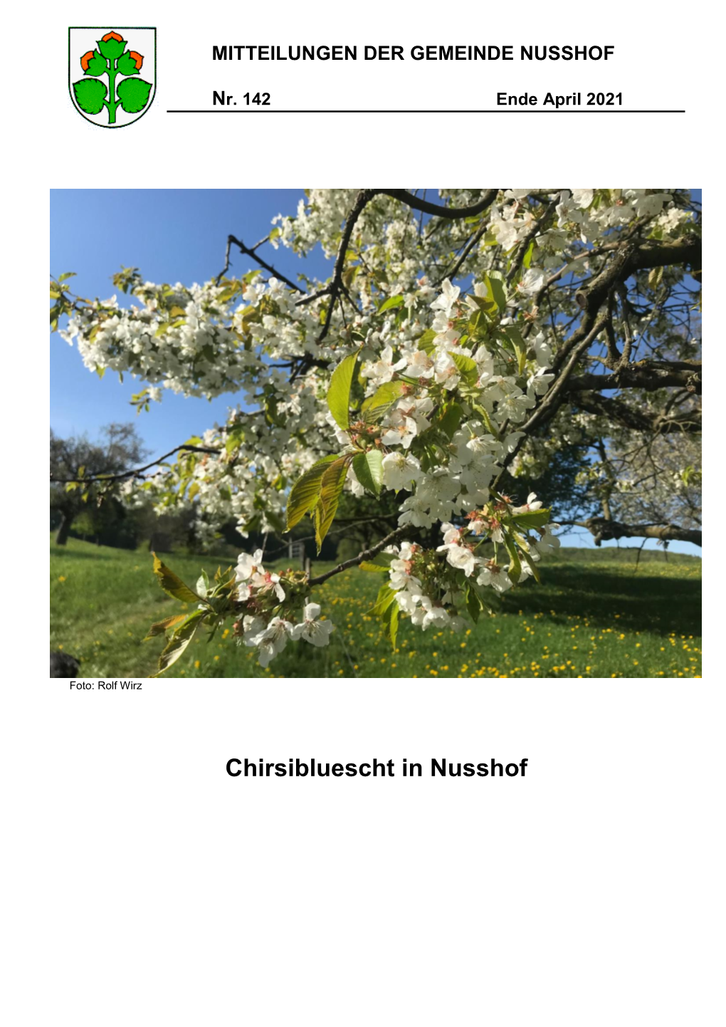 Chirsibluescht in Nusshof