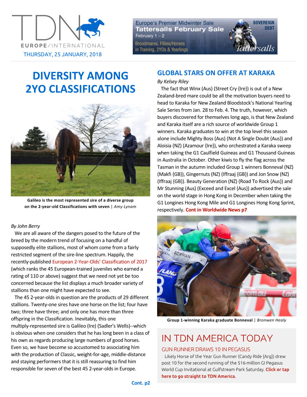 Diversity Among 2YO Classifications Cont