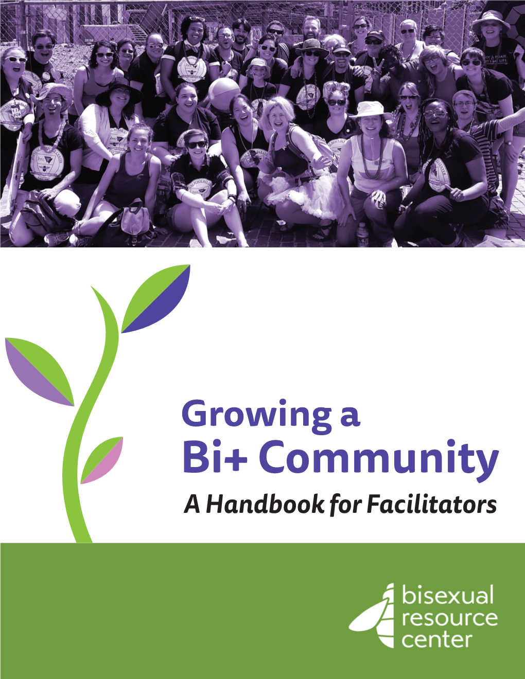 Growing Bi+ Community: a Handbook for Facilitators