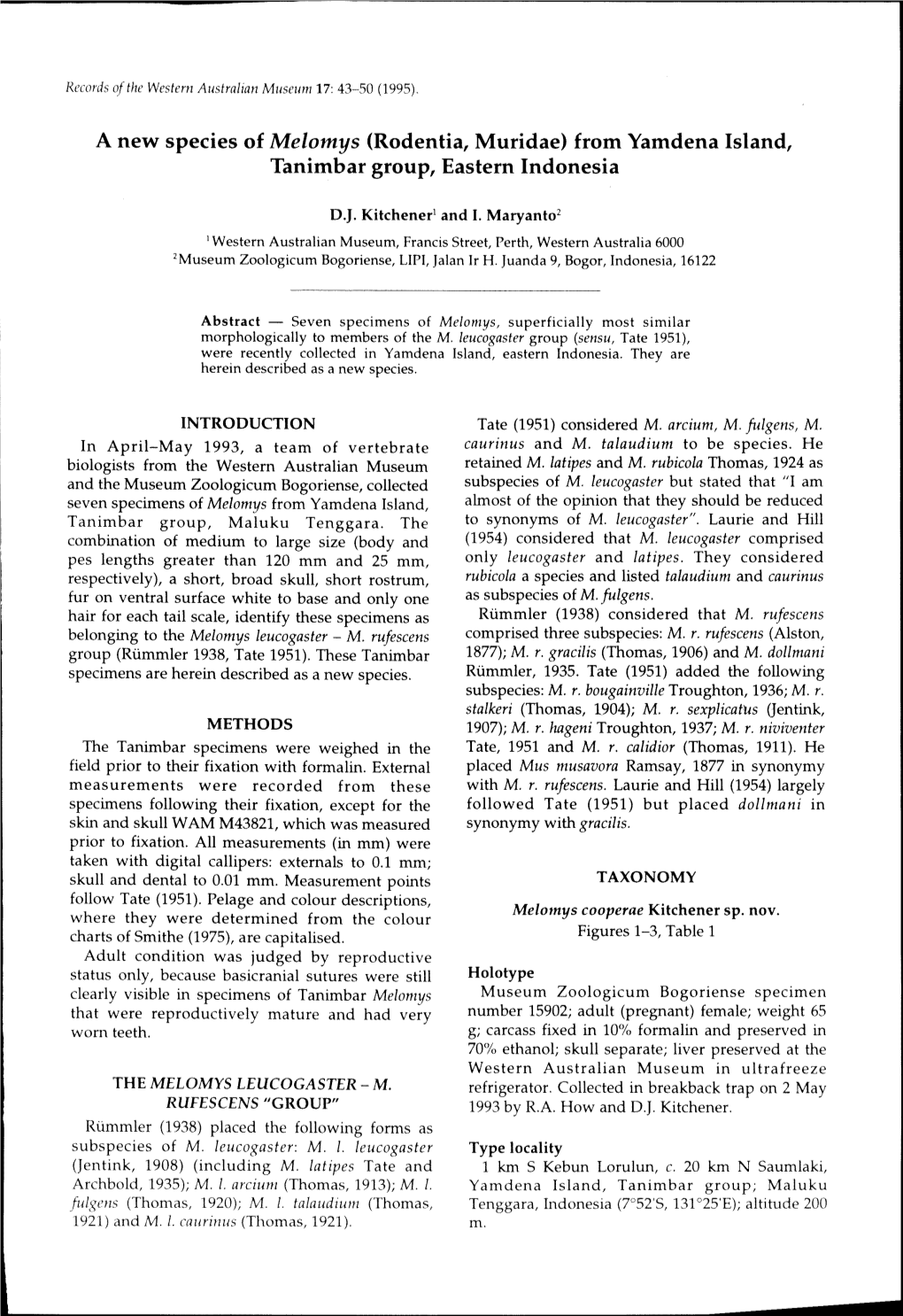 A New Species of Melomys (Rodentia, Muridae) from Yamdena Island, Tanimbar Group, Eastern Indonesia