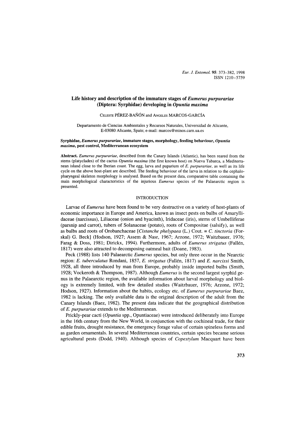 Life History and Description of the Immature Stages of Eumerus