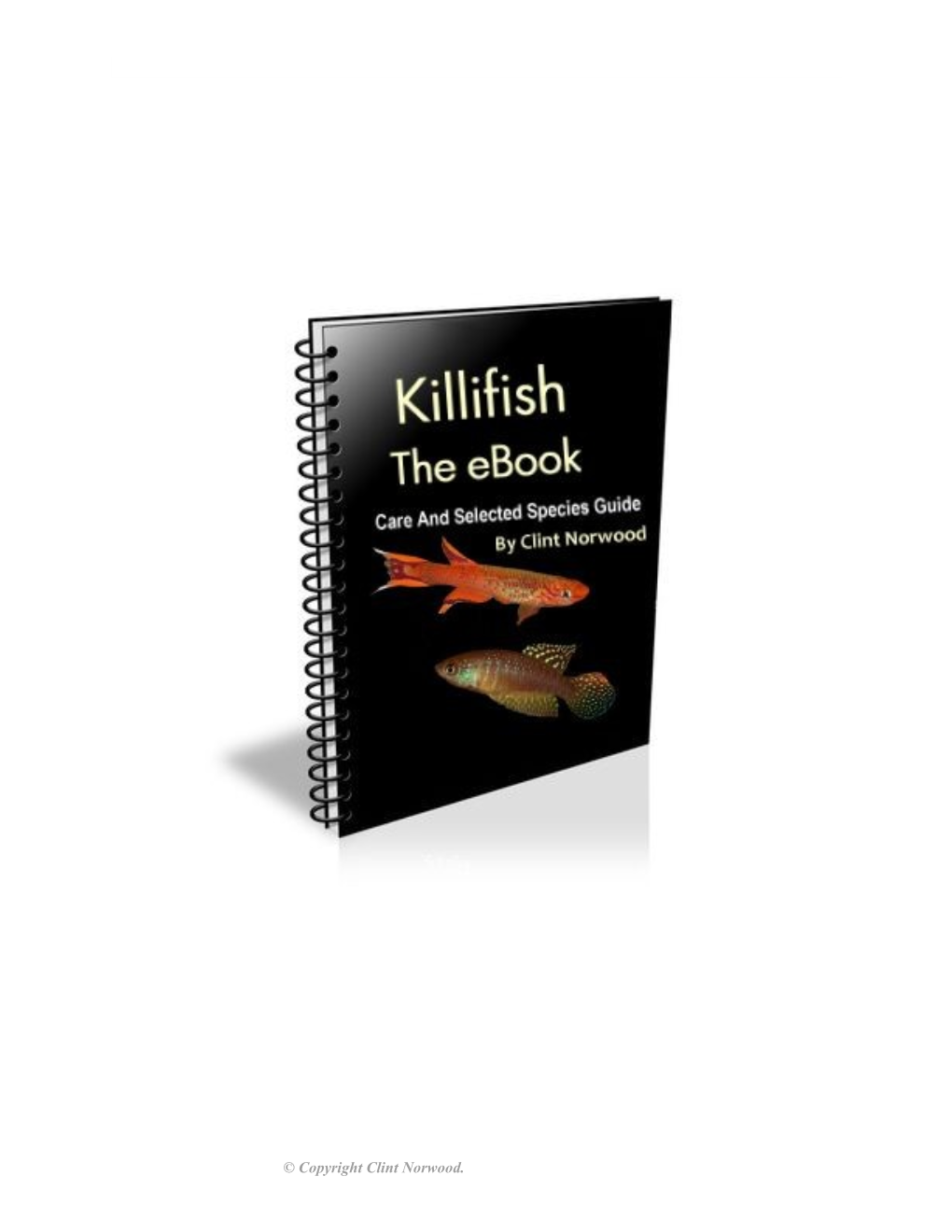 Killifish – the Ebook, Care and Species Guide