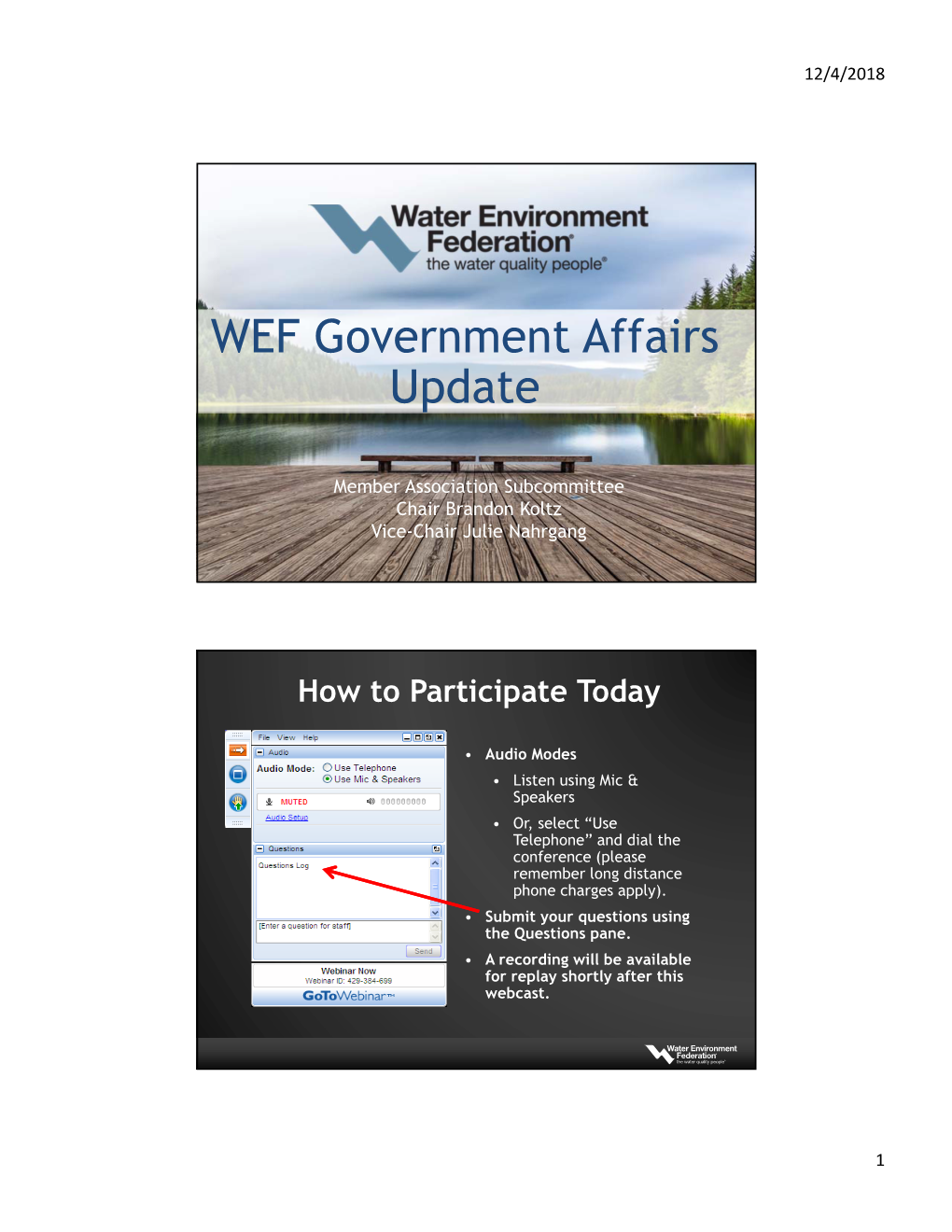 WEF Government Affairs Update