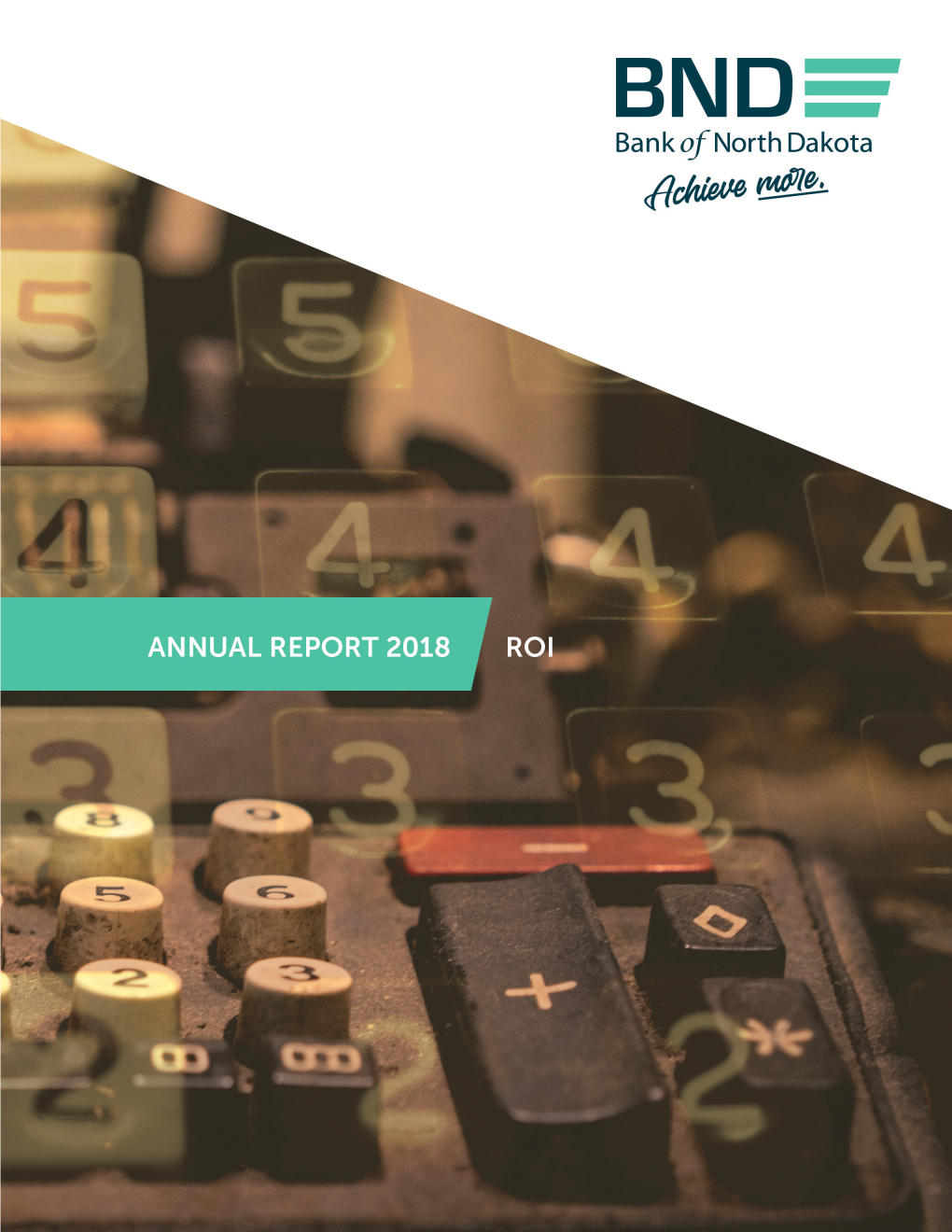 2018 BND Annual Report