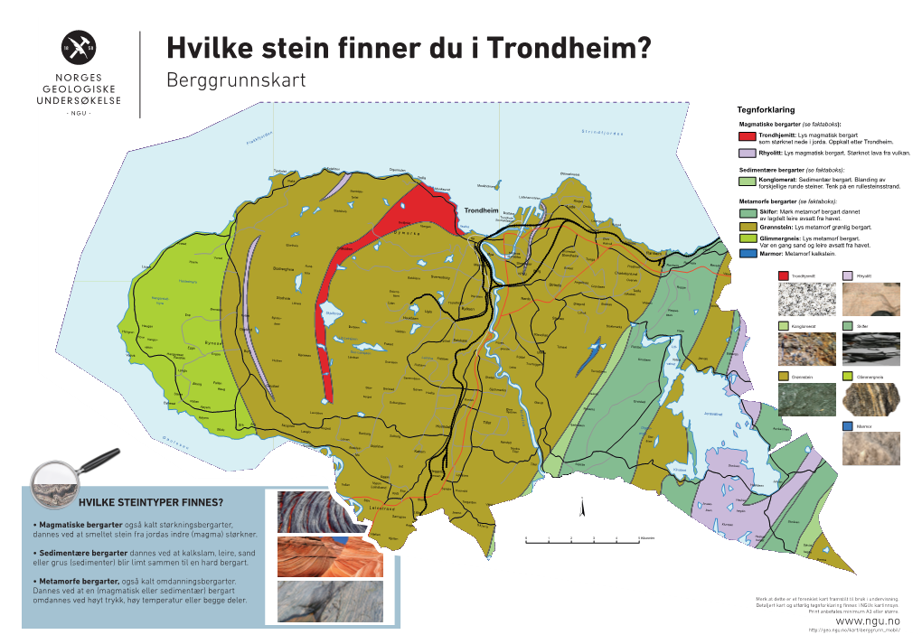 Sedimentære Bergarter (Se Faktaboks): T Østmarkneset Trolla Flakk Konglomerat: Sedimentær Bergart