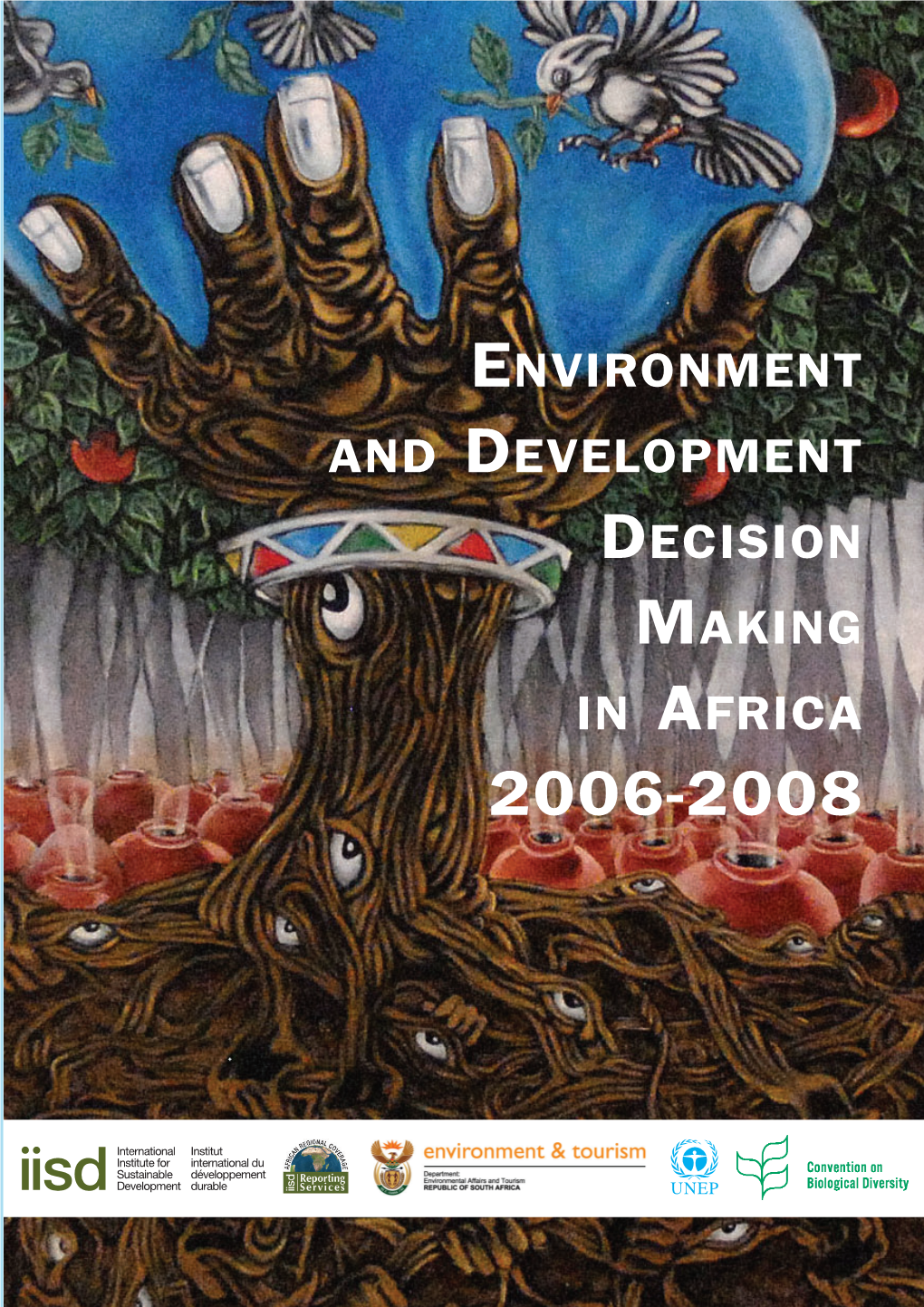 Environment and Development Decision Making in Africa 2006-2008