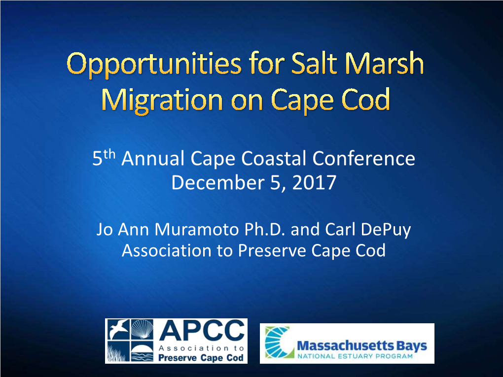 Inventory of Salt Marshes on Cape Cod with the Best Migration Potential