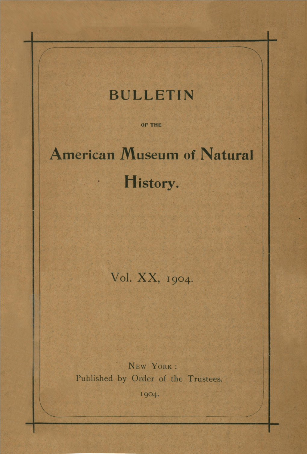 BULLETIN History