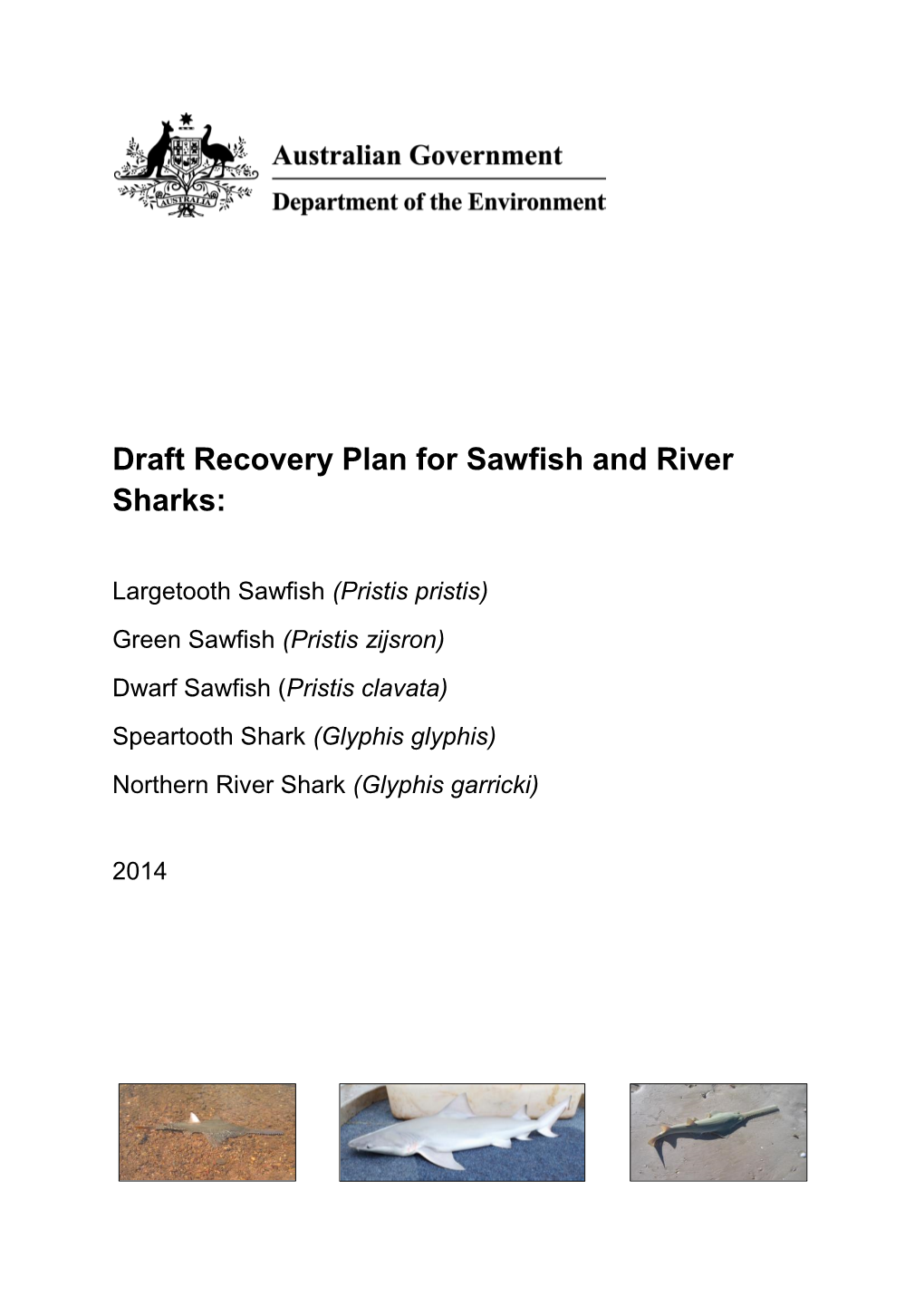 Dwarf Sawfish (Pristis Clavata) Speartooth Shark (Glyphis Glyphis) Northern River Shark (Glyphis Garricki)