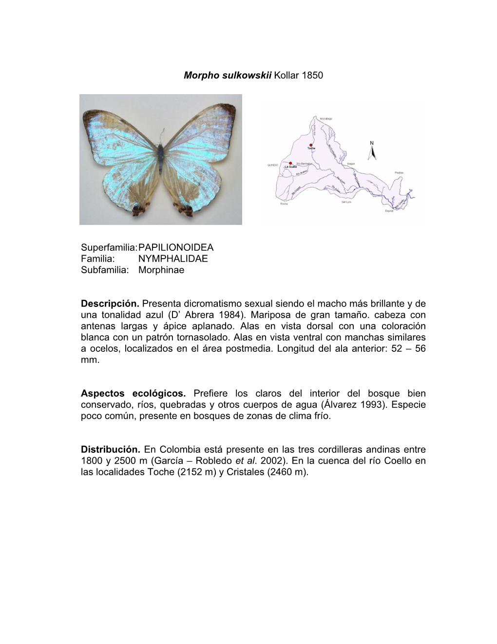 NYMPHALIDAE Subfamilia: Morphinae Descripción. Presenta Di