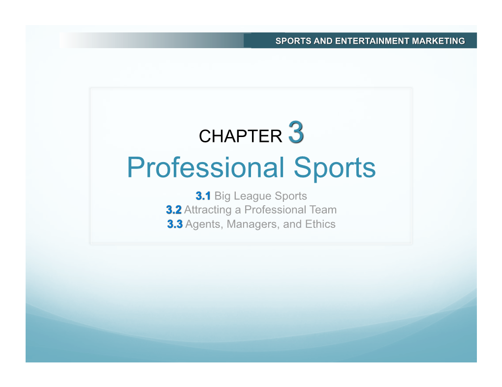 Professional Sports PPT.Pdf