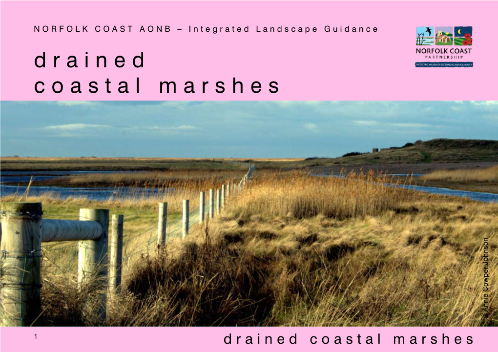 Drained Coastal Marshes Integrated Landscape Character