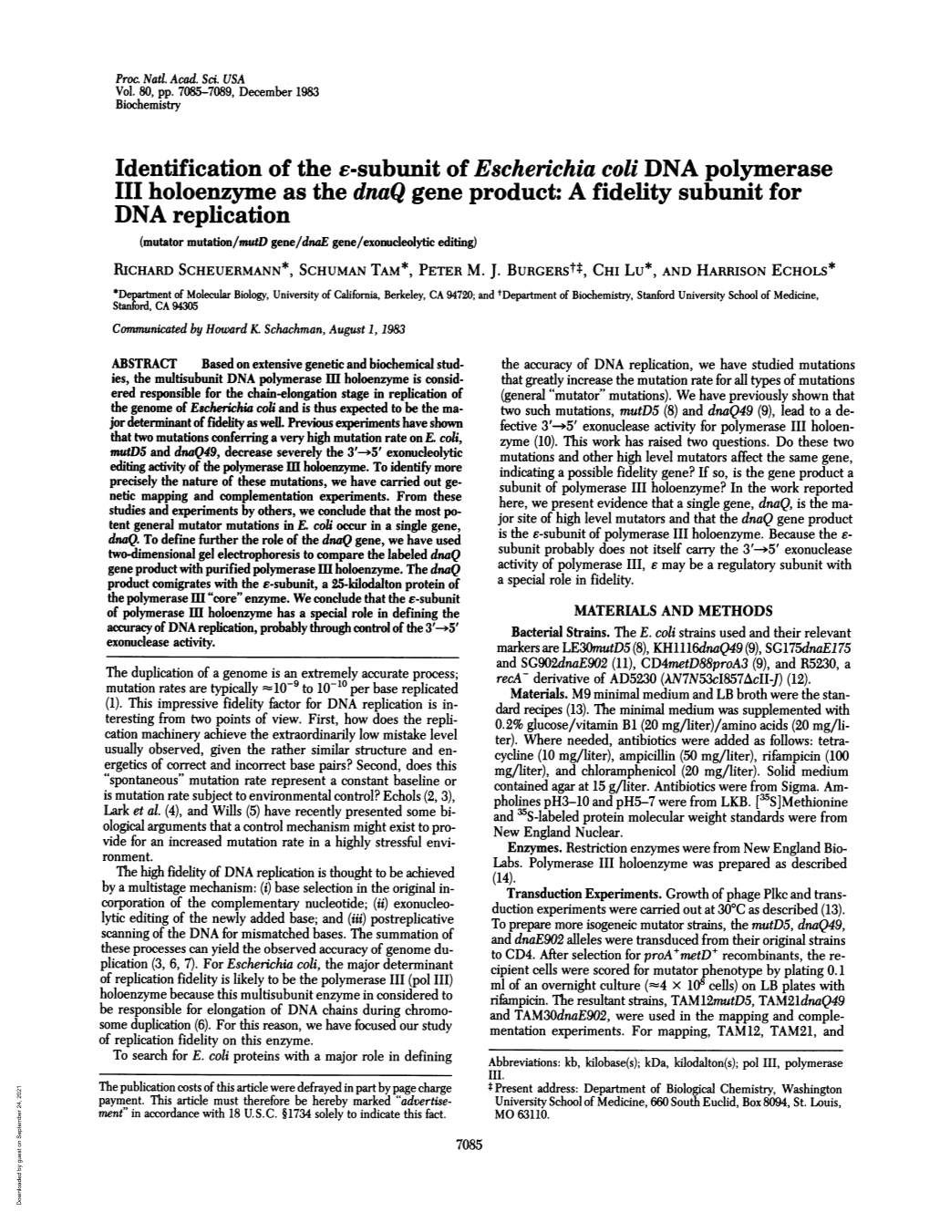 Identification of the E-Subunit of Escherichia Coli DNA Polymerase