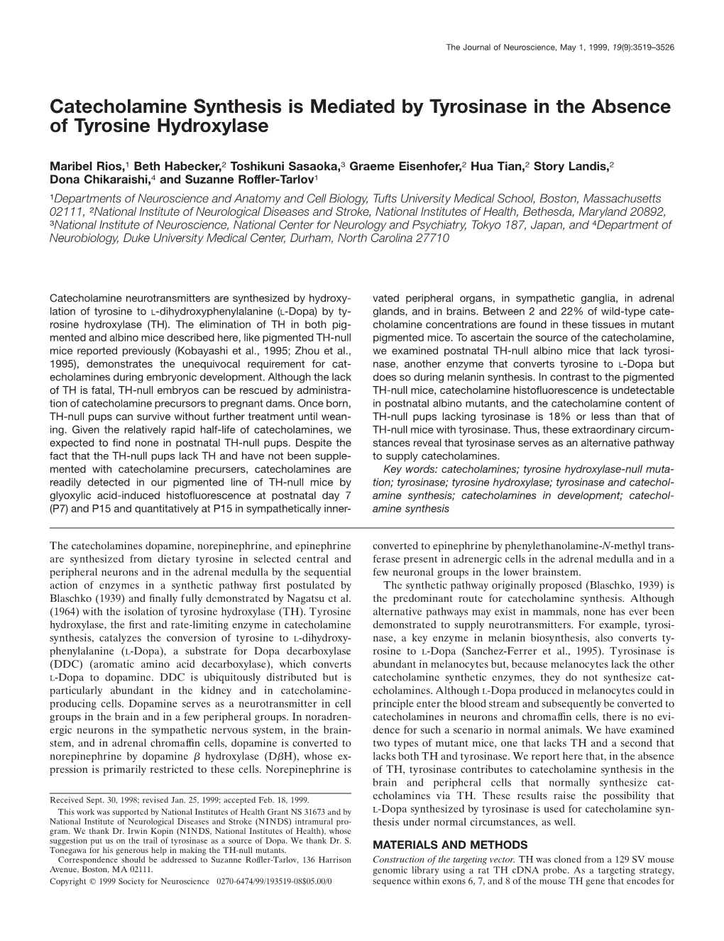 Catecholamine Synthesis Is Mediated by Tyrosinase in the Absence of Tyrosine Hydroxylase