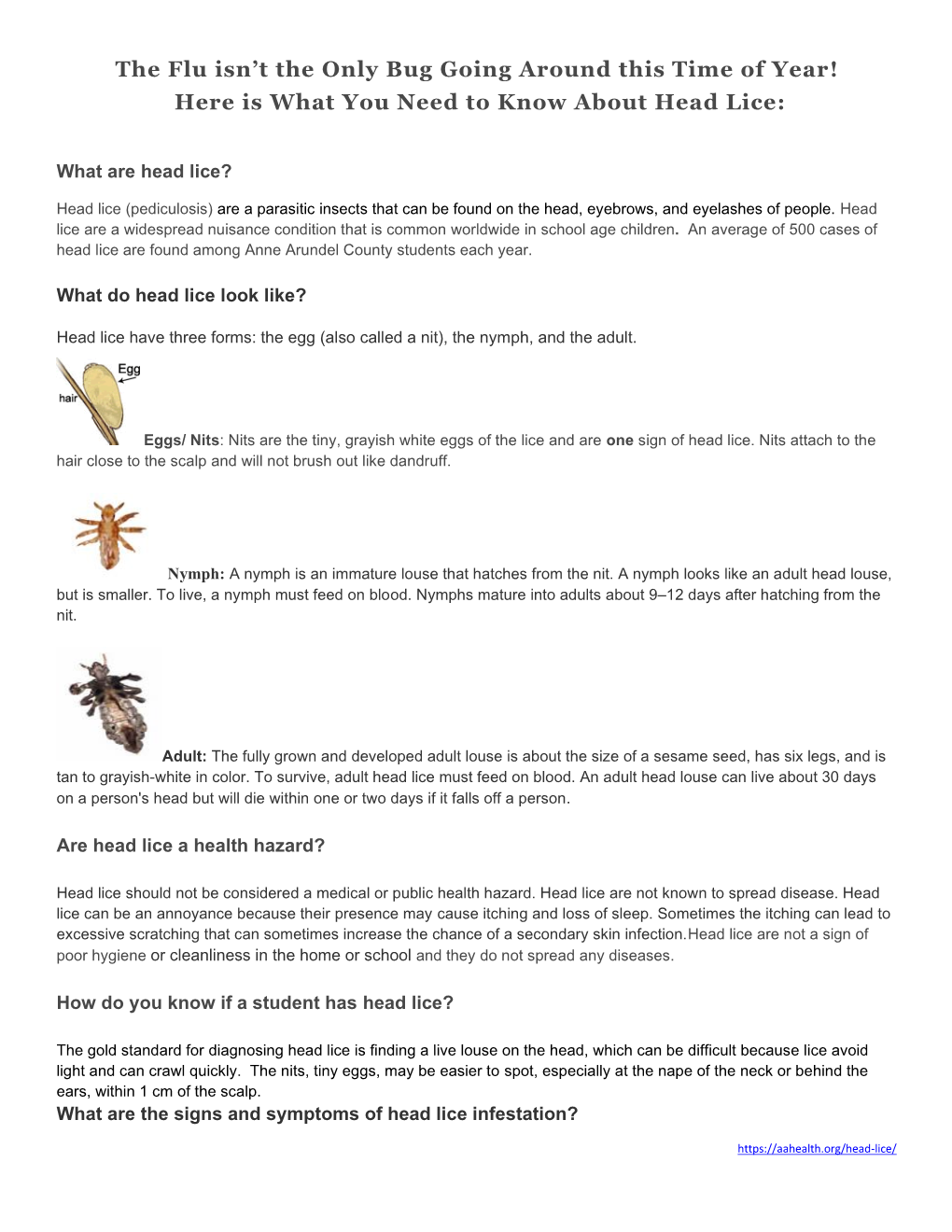 Here Is What You Need to Know About Head Lice