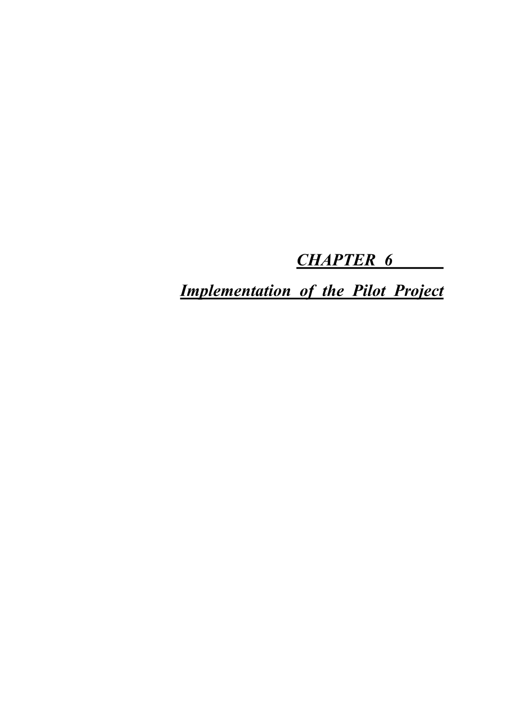 CHAPTER 6 Implementation of the Pilot Project