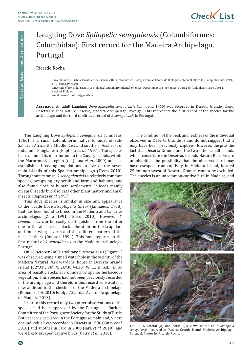 (Columbiformes: Columbidae): First Record for the Madeira Archipelago, Portugal