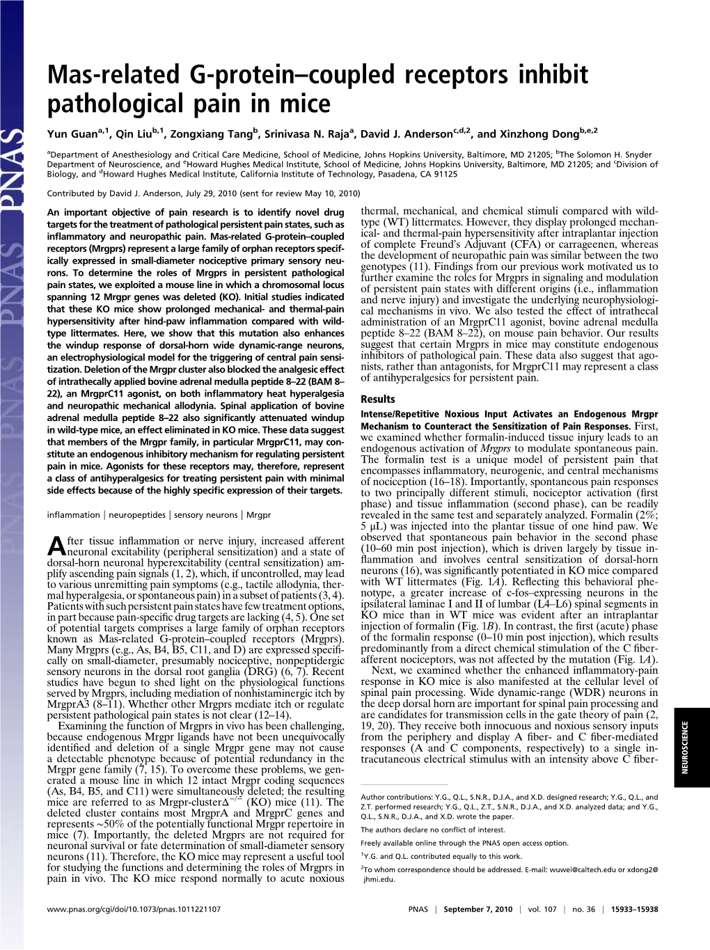 Mas-Related G-Protein–Coupled Receptors Inhibit Pathological Pain in Mice