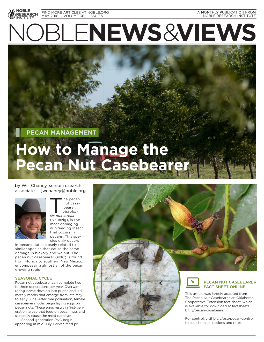 Download How to Manage the Pecan Nut Casebearer