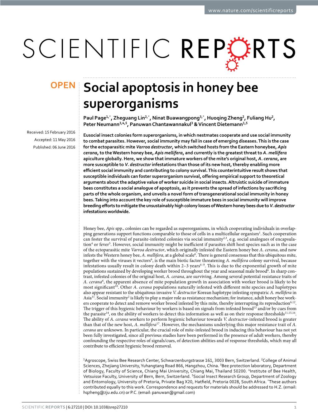 Social Apoptosis in Honey Bee Superorganisms