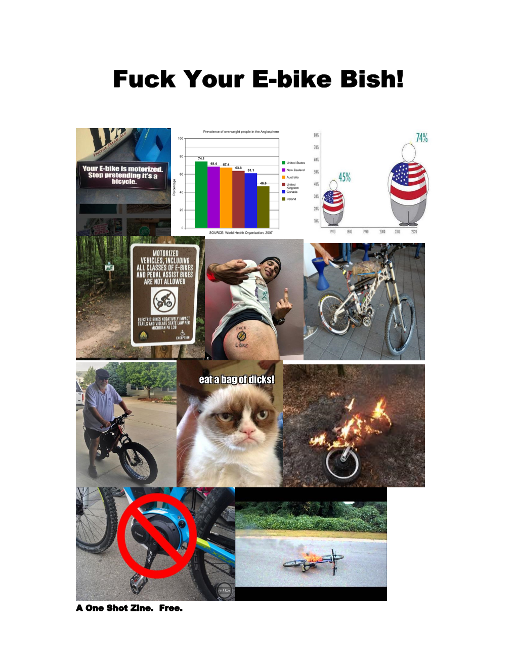 Fuck Your E-Bike Bish!