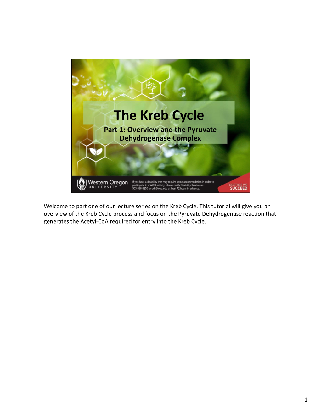 The Kreb Cycle Part 1: Overview and the Pyruvate Dehydrogenase Complex