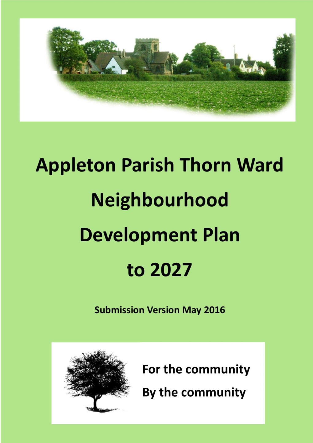 4. Key Issues for Appleton Parish Thorn Ward 17