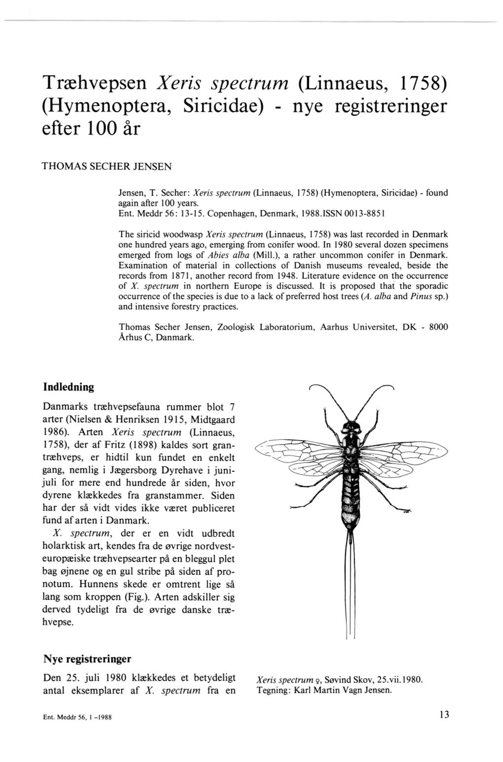 Hymenoptera, Siricidae) Nye Registreringer Efter 100 År