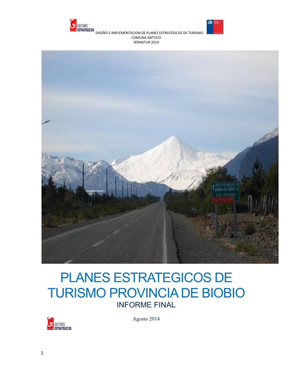 Planes Estrategicos De Turismo Provincia De Biobio Informe Final