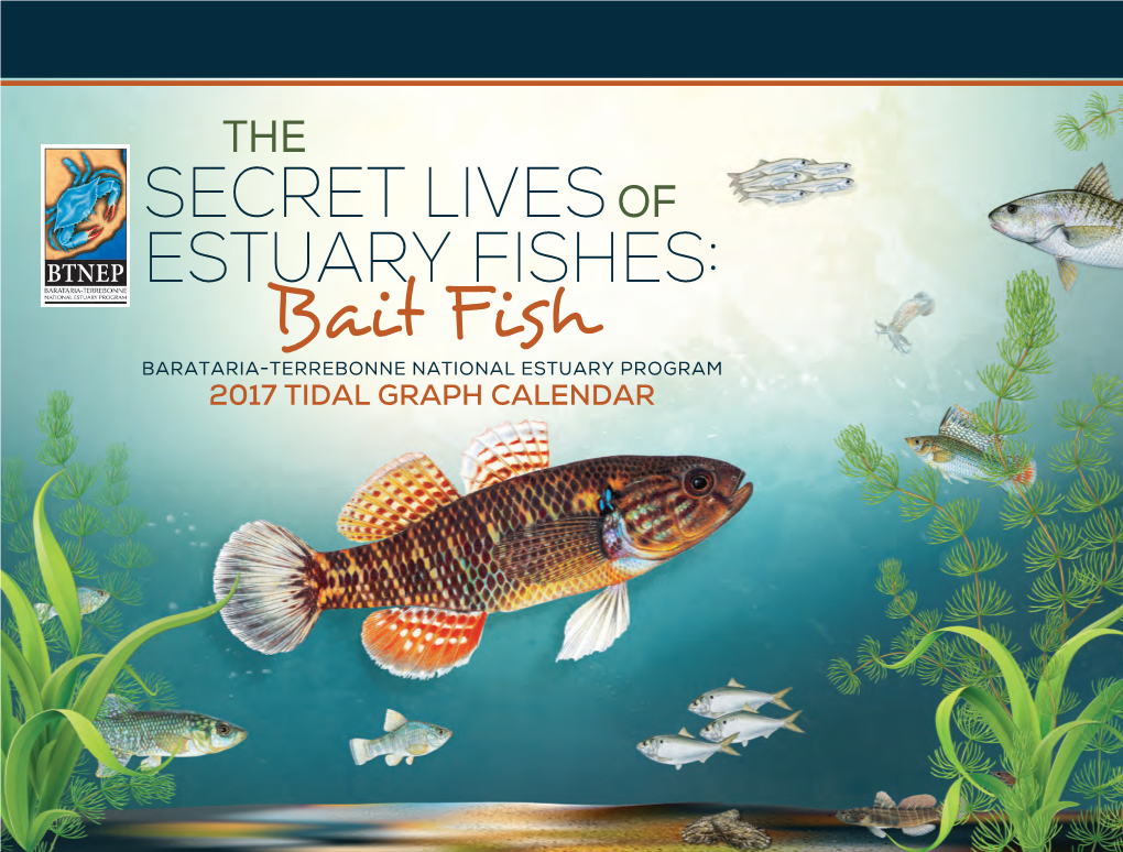 Bait Fish Barataria-Terrebonne National Estuary Program 2017 TIDAL GRAPH CALENDAR Barataria-Terrebonne National Estuary Program