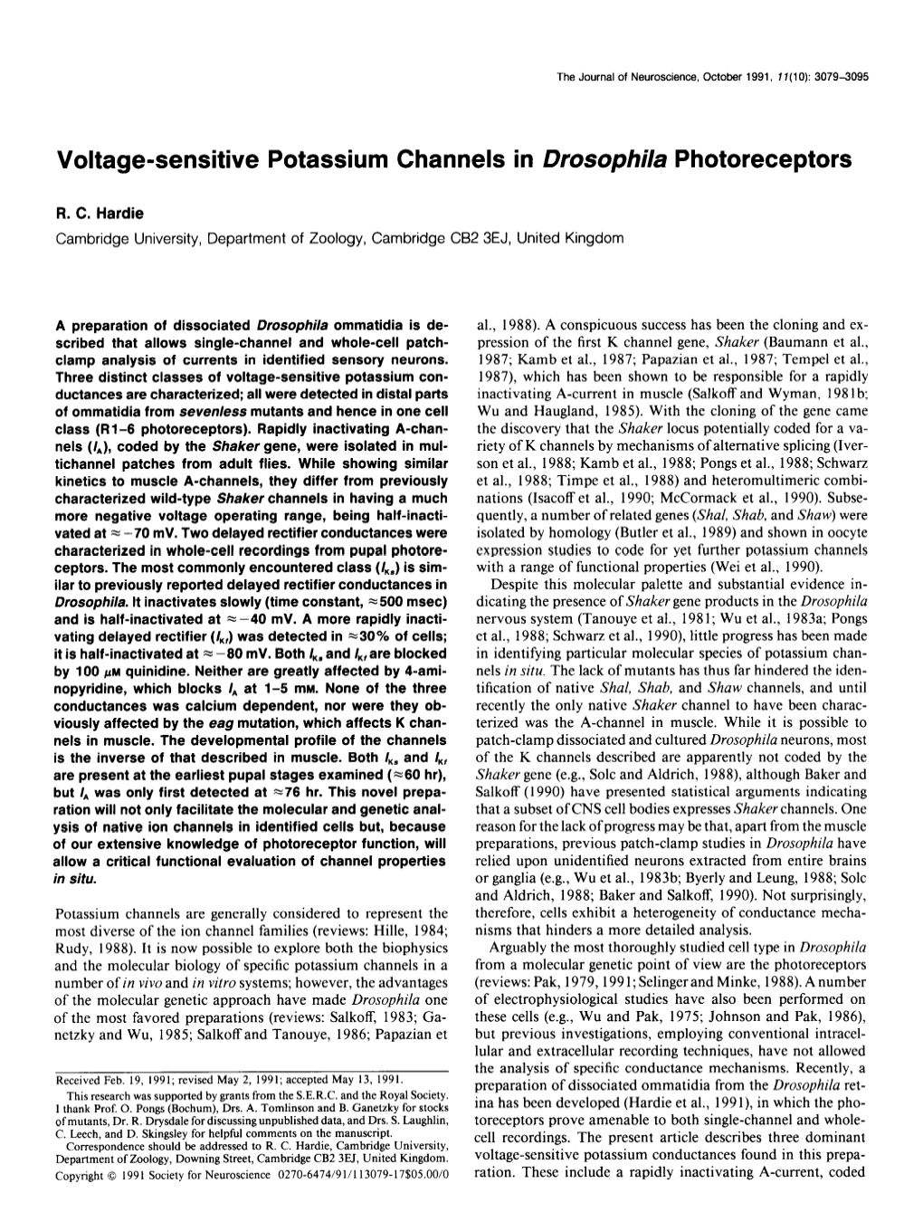 Voltage-Sensitive Potassium Channels in Drosophila Photoreceptors