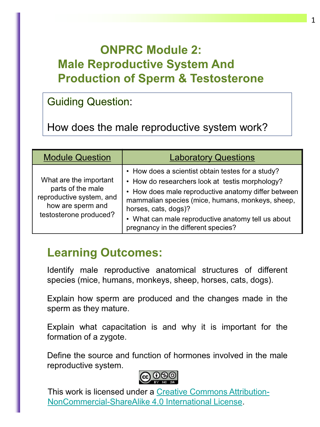 ONPRC Module 2: Male Reproductive System and Production of Sperm & Testosterone Learning Outcomes