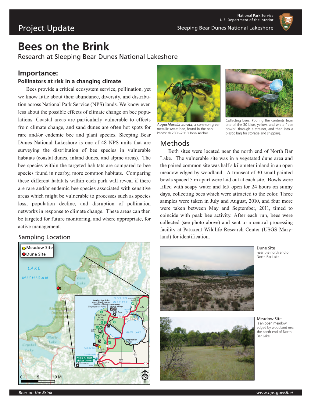 Bees on the Brink Research at Sleeping Bear Dunes National Lakeshore