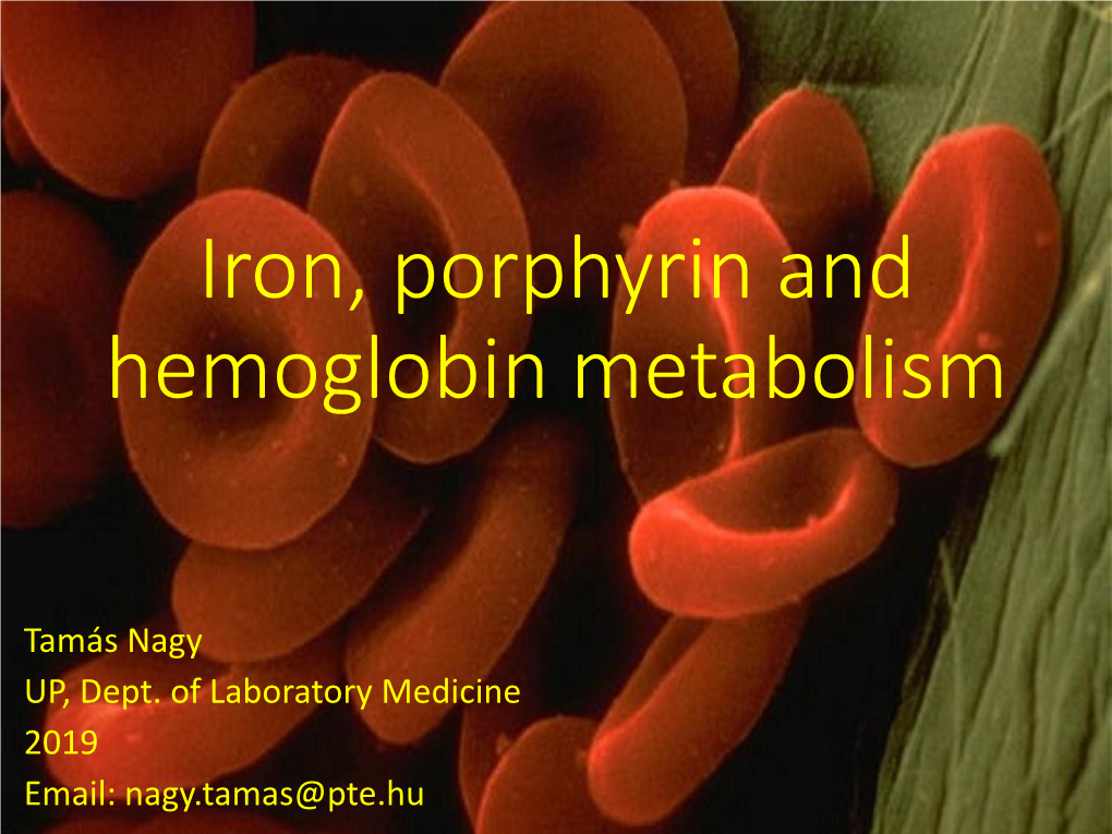 Iron, Porphyrin and Hemoglobin Metabolism