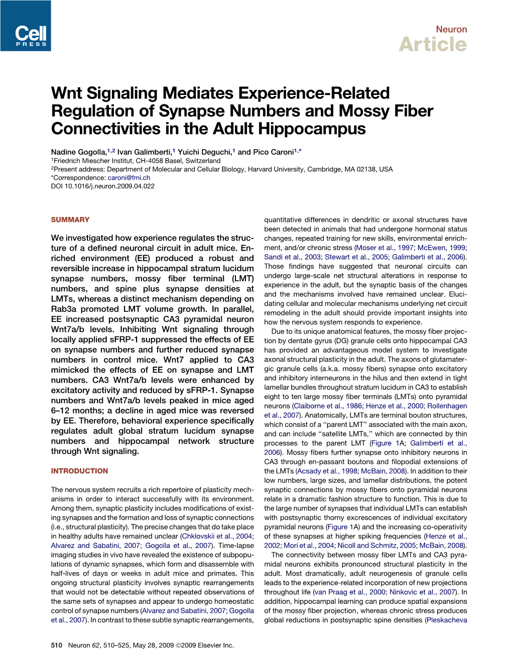 Wnt Signaling Mediates Experience-Related Regulation of Synapse Numbers and Mossy Fiber Connectivities in the Adult Hippocampus