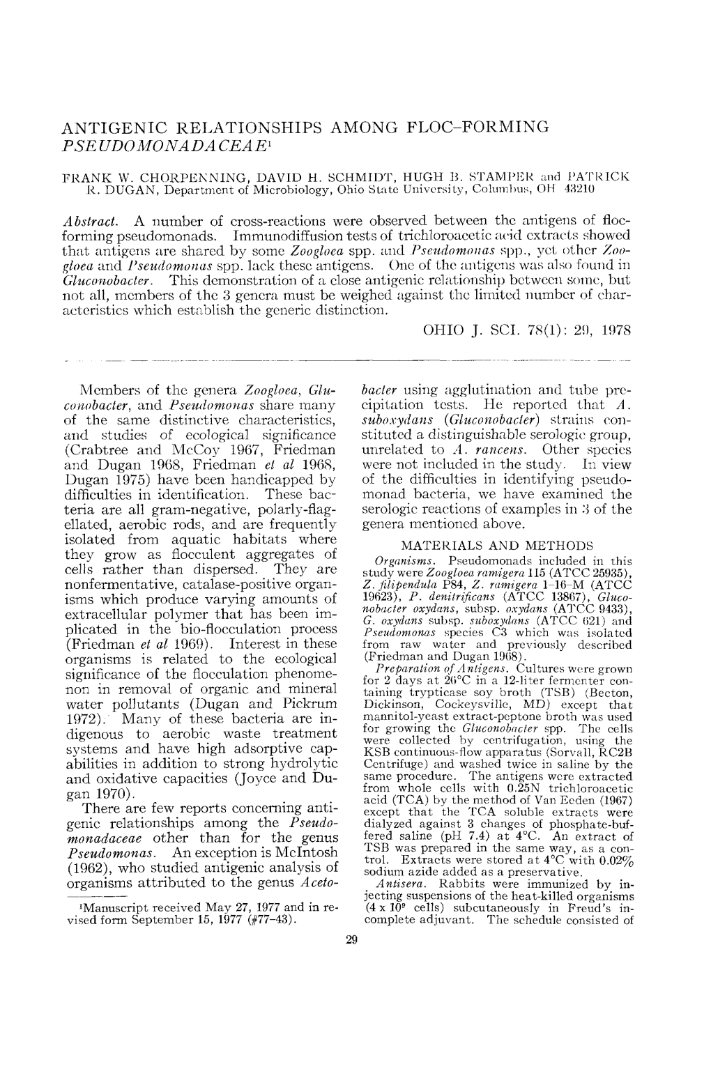 Antigenic Relationships Among Floc-Forming Pseudomonadaceae