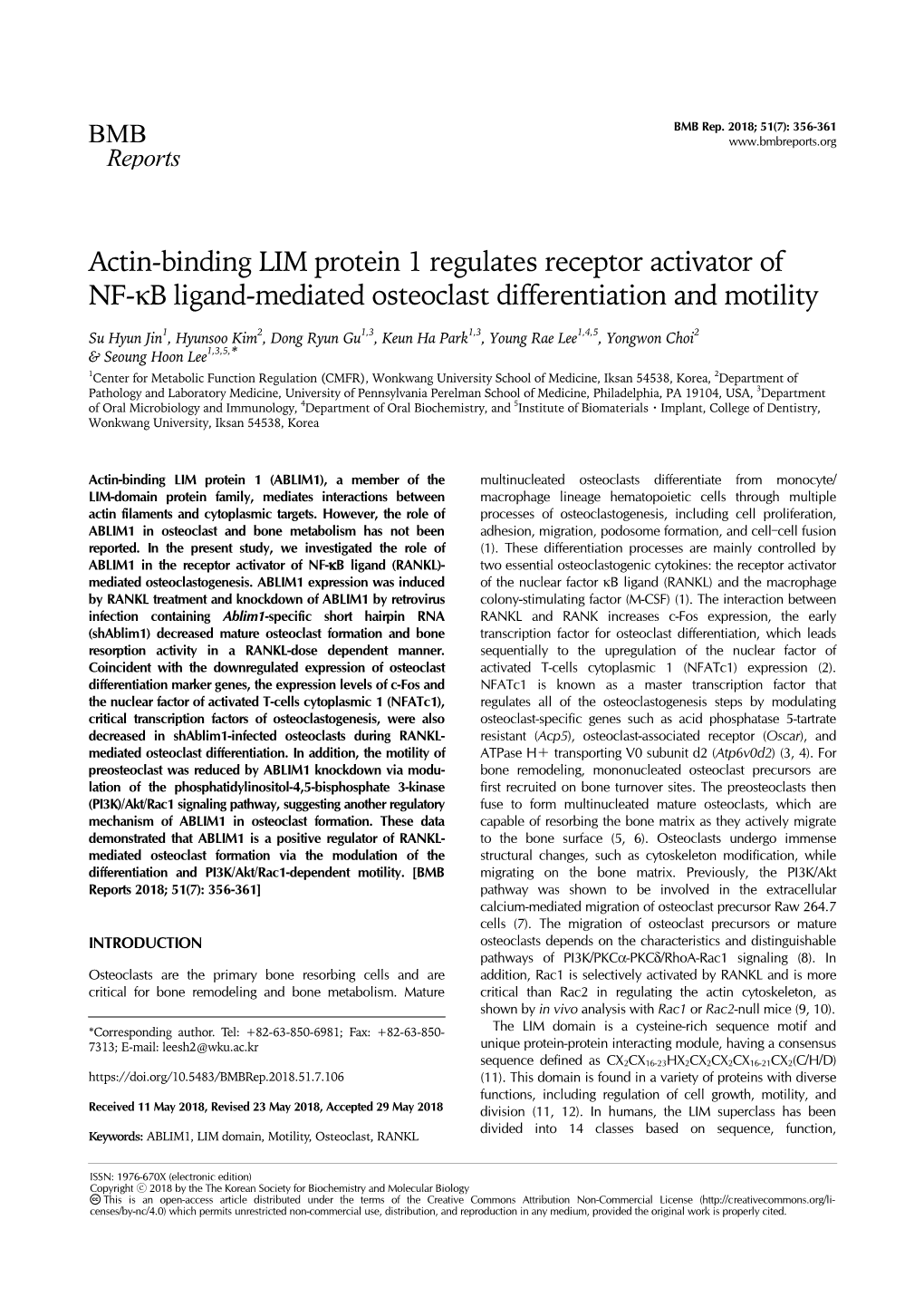 Actin-Binding LIM Protein 1 Regulates Receptor Activator of NF- B Ligand