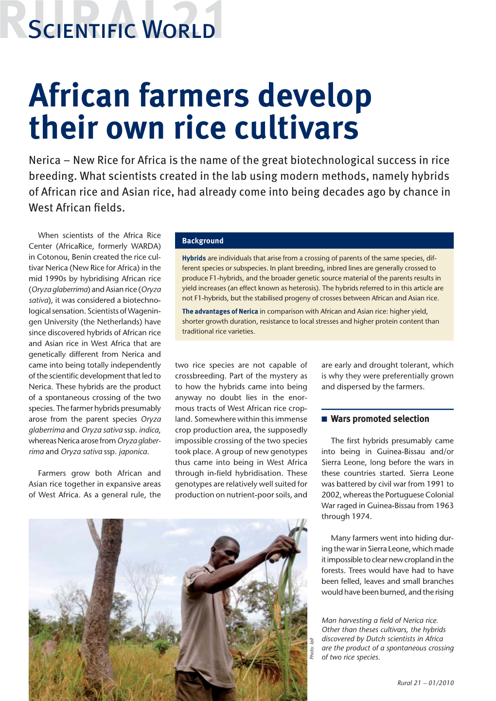 African Farmers Develop Their Own Rice Cultivars Nerica – New Rice for Africa Is the Name of the Great Biotechnological Success in Rice Breeding