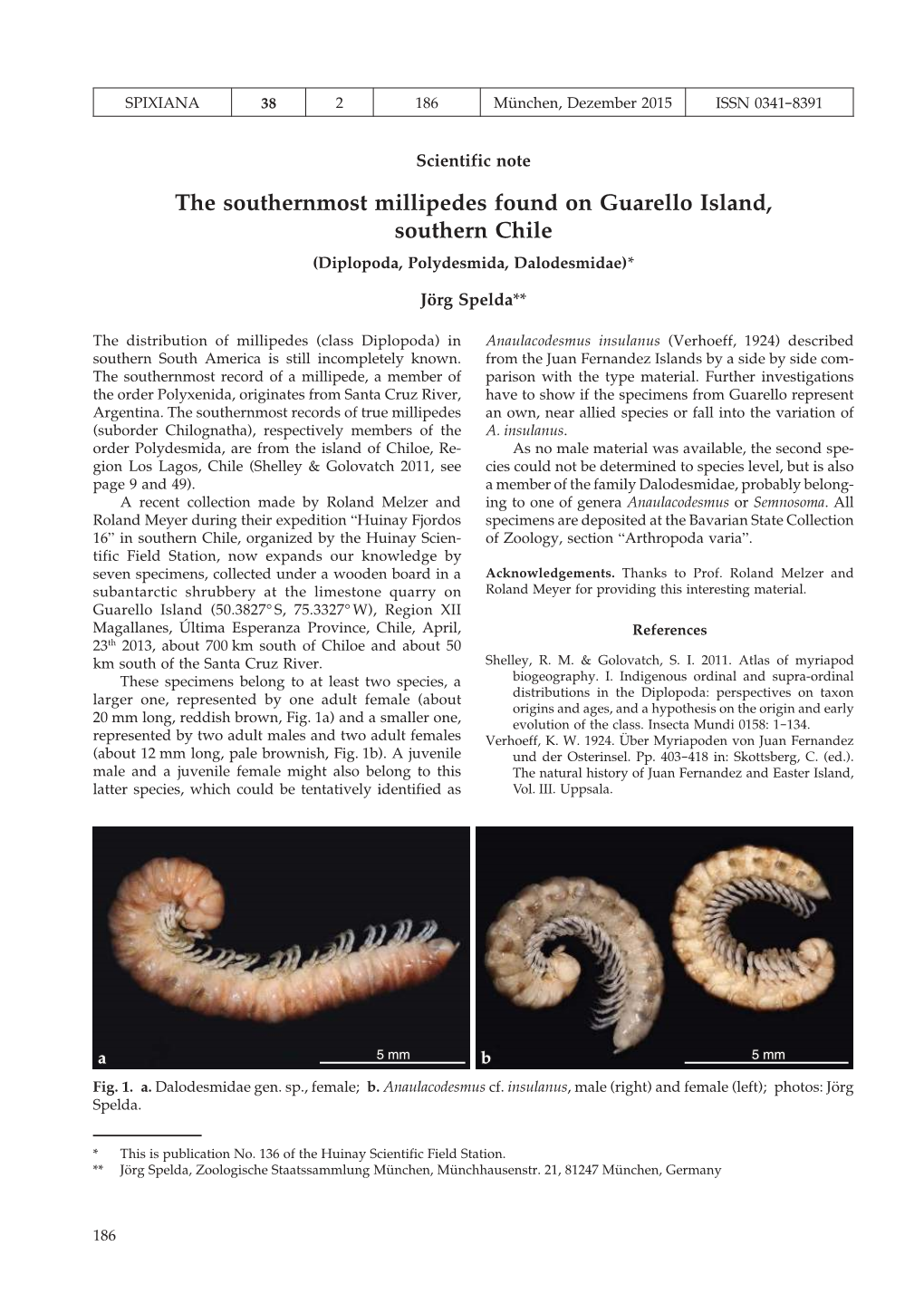 The Southernmost Millipedes Found on Guarello Island, Southern Chile (Diplopoda, Polydesmida, Dalodesmidae)*