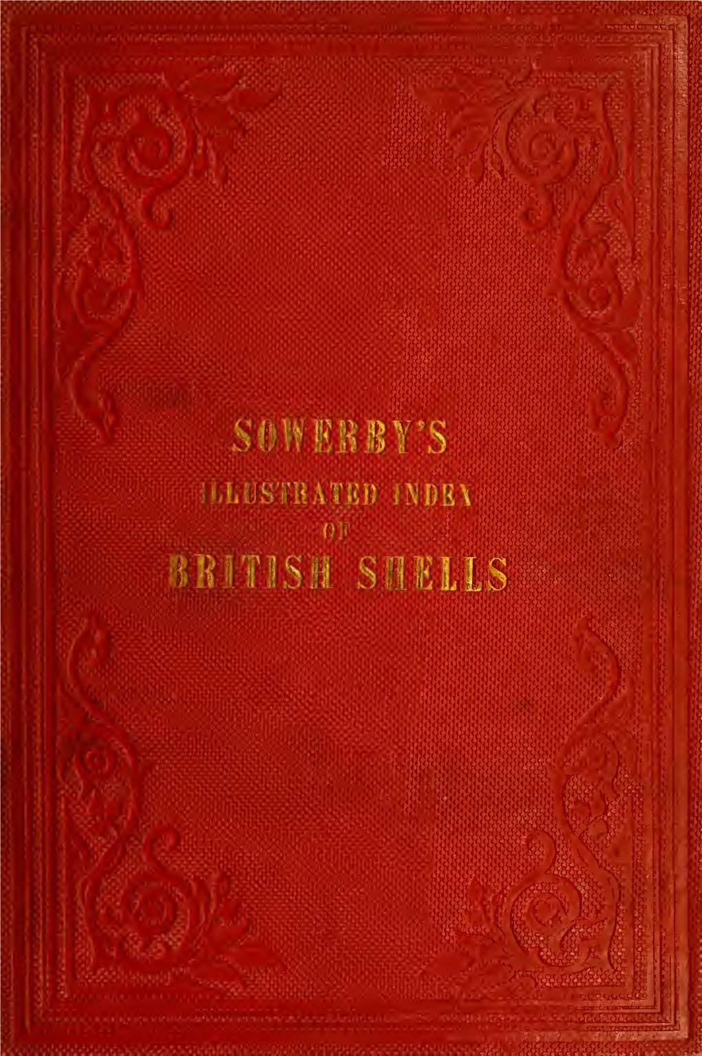 Illustrated Index of British Shells : Containing Figures Of