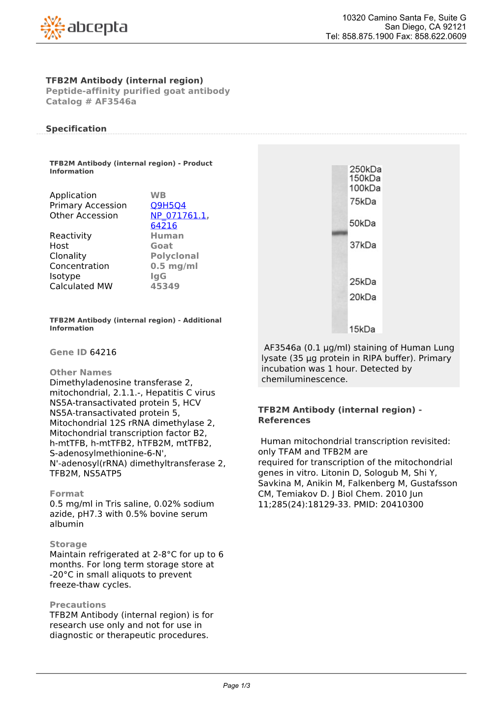 TFB2M Antibody (Internal Region) Peptide-Affinity Purified Goat Antibody Catalog # Af3546a