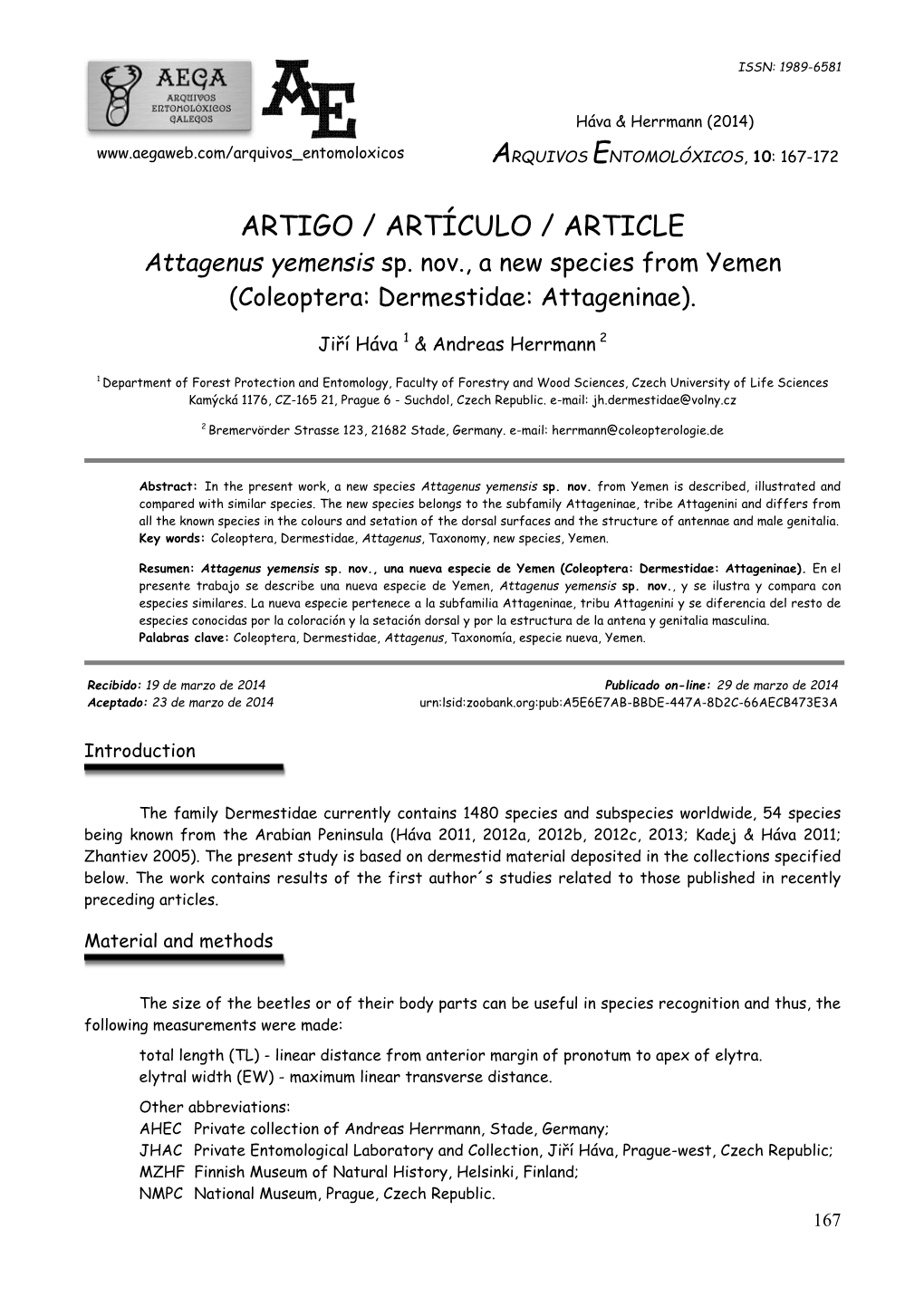 ARTIGO / ARTÍCULO / ARTICLE Attagenus Yemensis Sp