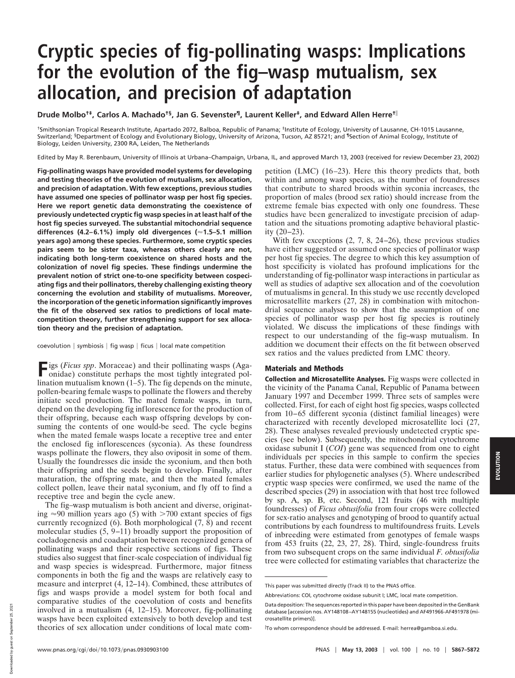 Cryptic Species of Fig-Pollinating Wasps: Implications for the Evolution of the Fig–Wasp Mutualism, Sex Allocation, and Precision of Adaptation