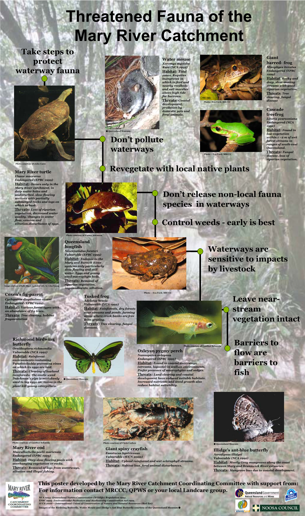 Threatened-Species-Poster.Pdf